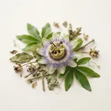 Ingrediente: Passionflower