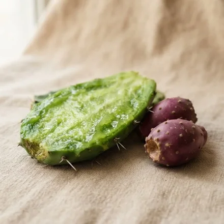 Ingrediente: Nopal (Opuntia ficus-indica)
