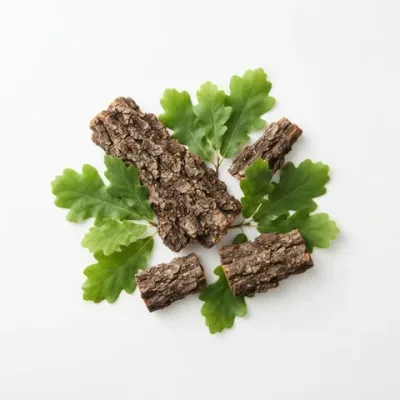 Ingrediente: Estratto di corteccia di quercia (Quercus robur)